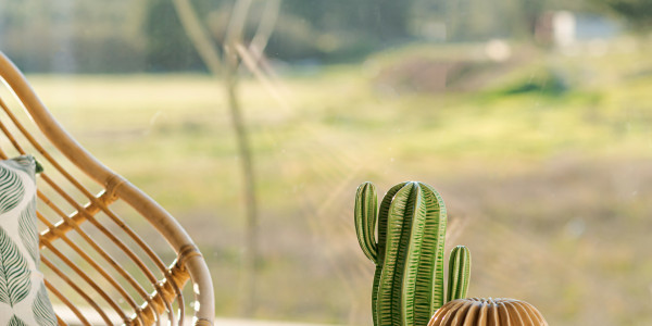Comprar / Vender Dúplex y Áticos en Rivas - Vaciamadrid · con Balcón